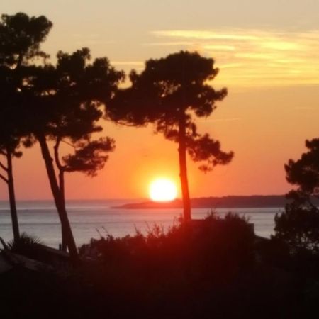 Chambre D'Hotes Pyla Sur Mer La Teste-de-Buch Luaran gambar