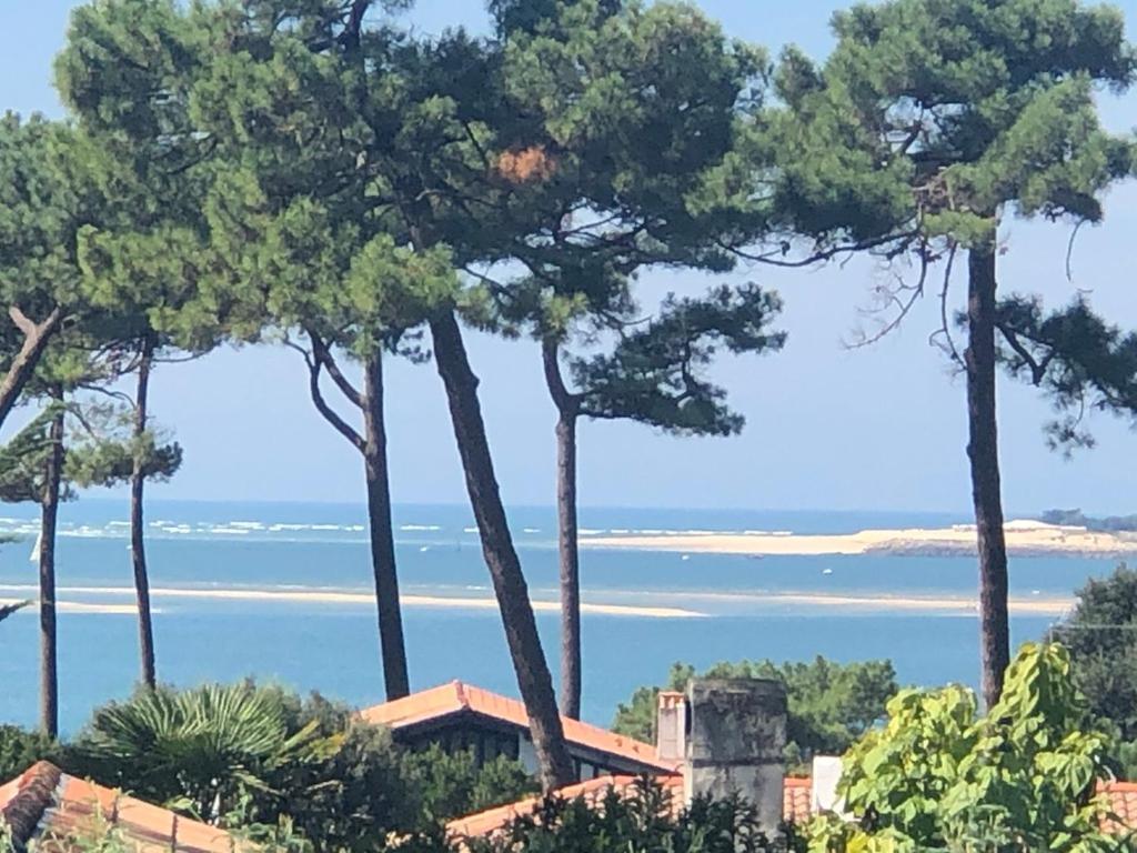 Chambre D'Hotes Pyla Sur Mer La Teste-de-Buch Luaran gambar