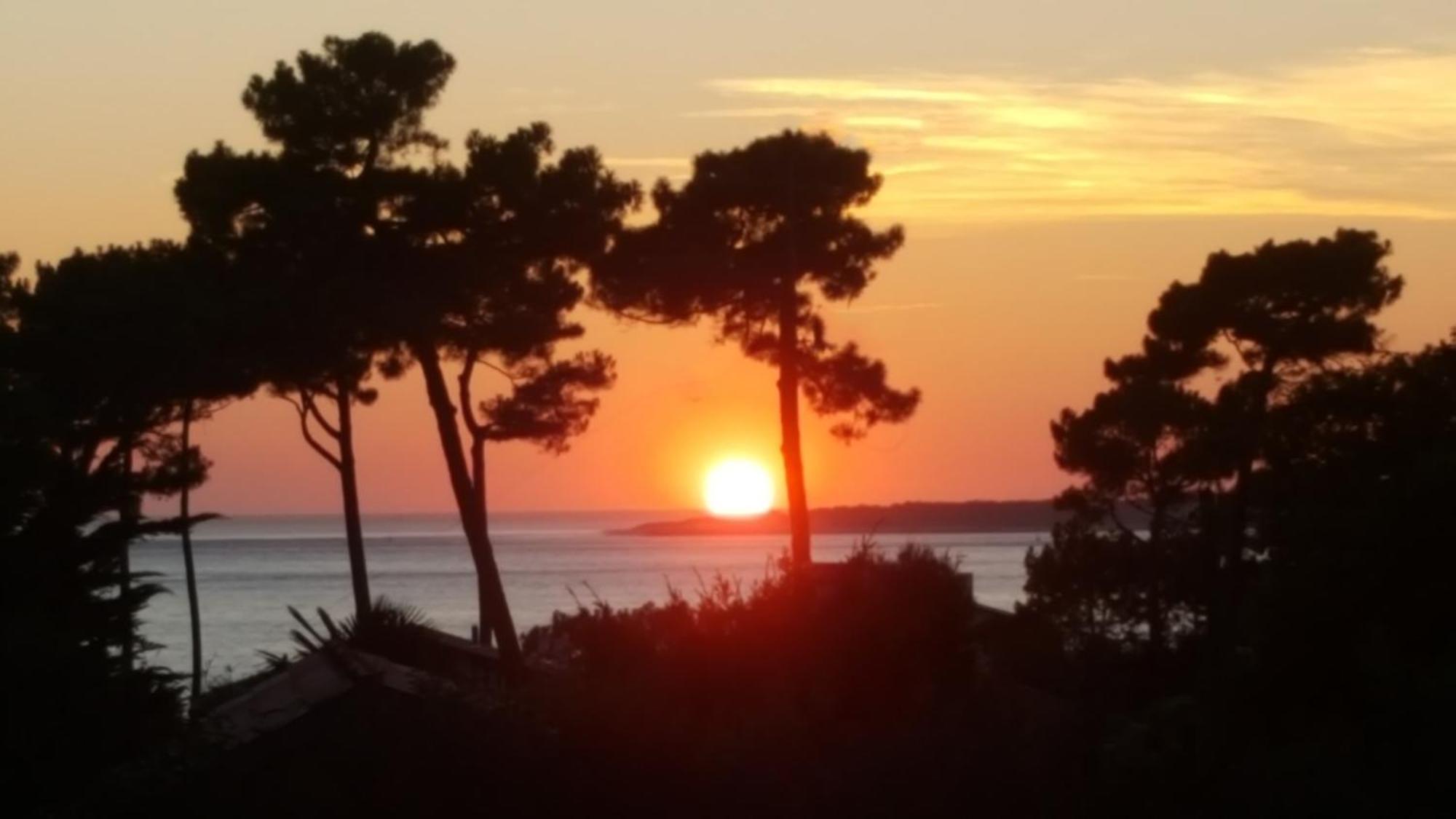 Chambre D'Hotes Pyla Sur Mer La Teste-de-Buch Luaran gambar